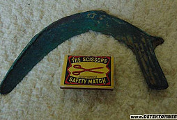 Konečně kloudná zelenina