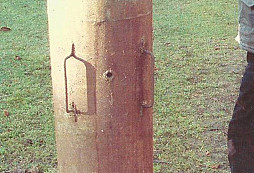 Kontejner - neumí někdo určit?