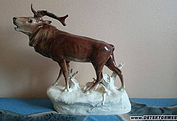 Identifikace jelena z Drážďan