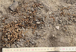 Hledači navedli archeology na zlatý poklad