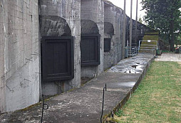 Něco na pokoukání