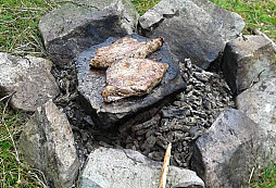 Povrchový sběr