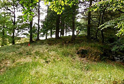 Štěstí polského hledače: depot tolarů a dukátů