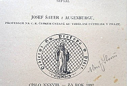 Jak se vyznat v blbých