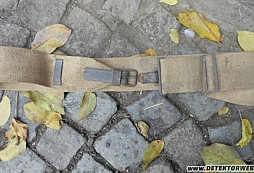 Popruhy řemeny WH kavalérie?