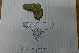 Opět pole - pomoc s určením