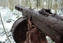 Obrázky z širé Rusi II.