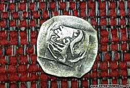 Identifikace stříbrného feniku
