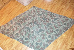 Prosba o určení - celta