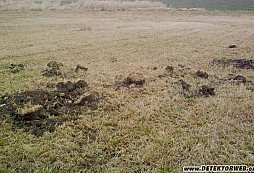 Když člověk potká dobytky na louce!