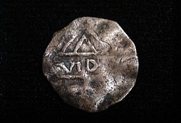 Zimní sklizeň zeleniny