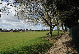 Buldozerista našel římany za nejméně šest milionů korun