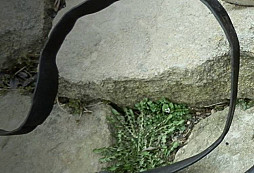 Labská plavba Hamburg čepice