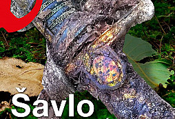 Právě vychází další vydání Detektor revue