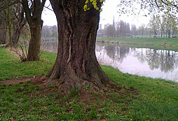 Třikrát venku