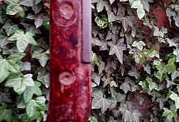 Prosba o identifikaci bodáku