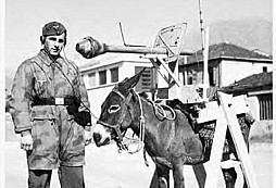 Výsledky víkendové soutěže XIX.