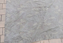 Prosba o identifikaci