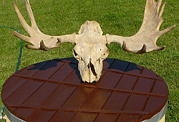 Parohy na pokračování