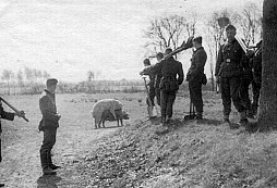 Víkendová soutěž XXVII.