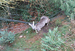 Je to o hledání nebo ne?