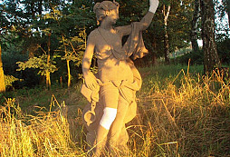 Zraněná nymfa v lese