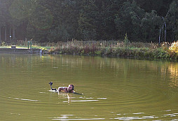 Víkendová soutěž XXXV.