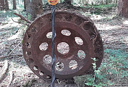Prosba o radu