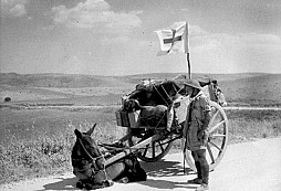 Víkendová soutěž 43.