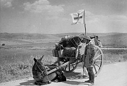 Výsledky víkendové soutěže 43.