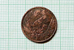 2 zlotý