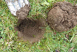 Třináctý stříbrňák