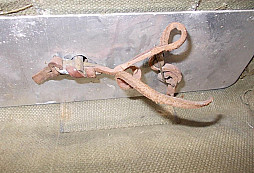 Povzbuzení do nové sezony IV