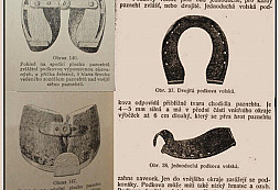 Co možná nevíte o podkovách