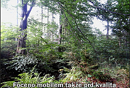 Smeťák