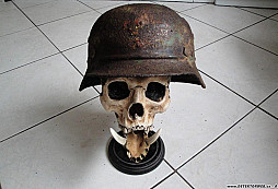 Divize SS Predátor?