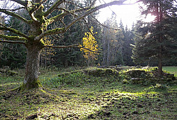 Hledejte a dívejte se kolem sebe, jak je krásně...