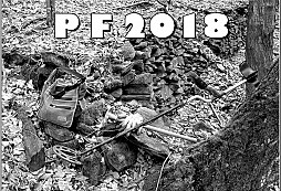 PF 2018