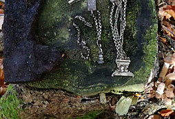 Prosba o určení