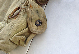 Z německého blešáku