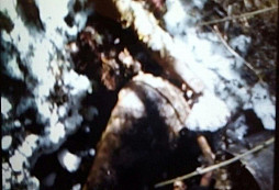 Zbytky ze starých aut