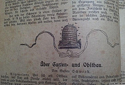 Moja zbierka VI. (9) R-U husár