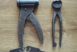 Identifikace kleští