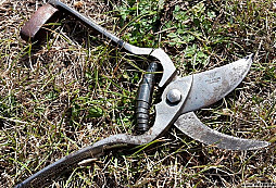 Hugo Köller Solingen