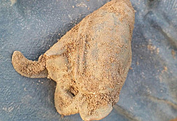 Hasič, záslužák a jiné