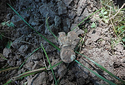 Trochu štěstí a k tomu pivčo