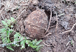 Z Údolí sudeťáčků VII.