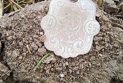 Trocha bordelu z louky za barakem