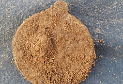 Pár lepších nálezů