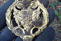 Orel z rusolágru na určení